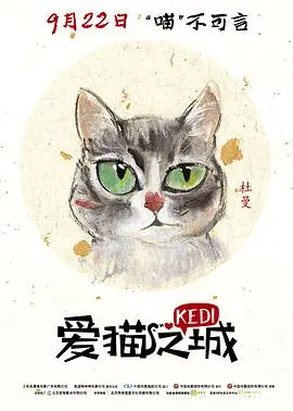 爱猫之城国语：猫奴必看！带你走进喵星人的秘密生活