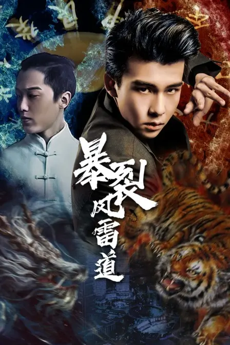 《暴裂风雷道》：硬核动作片的暴力美学巅峰