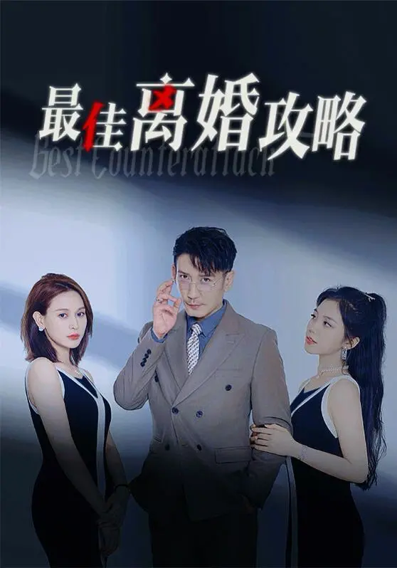 《最佳离婚攻略》：笑泪齐飞，爱情的二次方？