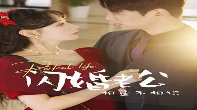 《闪婚老公相逢不相识》：先婚后爱？错！是悬疑与阴谋的都市情感剧！