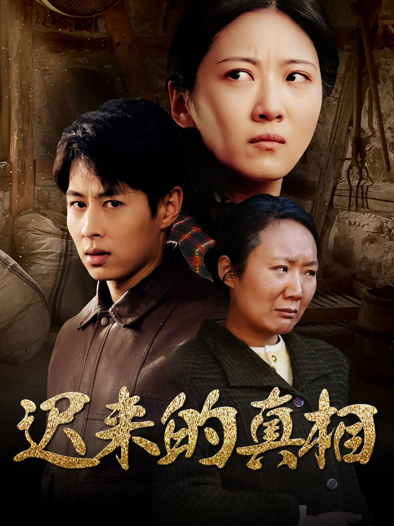 迟来的真相 海报