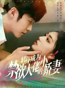 《转身成为禁欲大佬的小娇妻》：甜宠升级！看小娇妻如何融化冰山总裁的心！