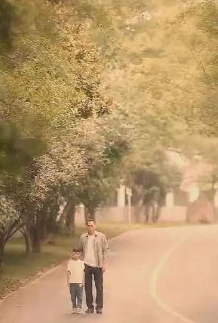 《不装了我是你惹不起的存在》：当深藏不露的老大终于亮剑，整个世界都得抖三抖！